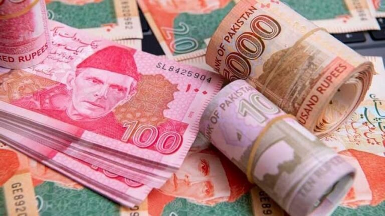 Exciting News New Plastic Currency Notes Coming to Pakistan in 2025